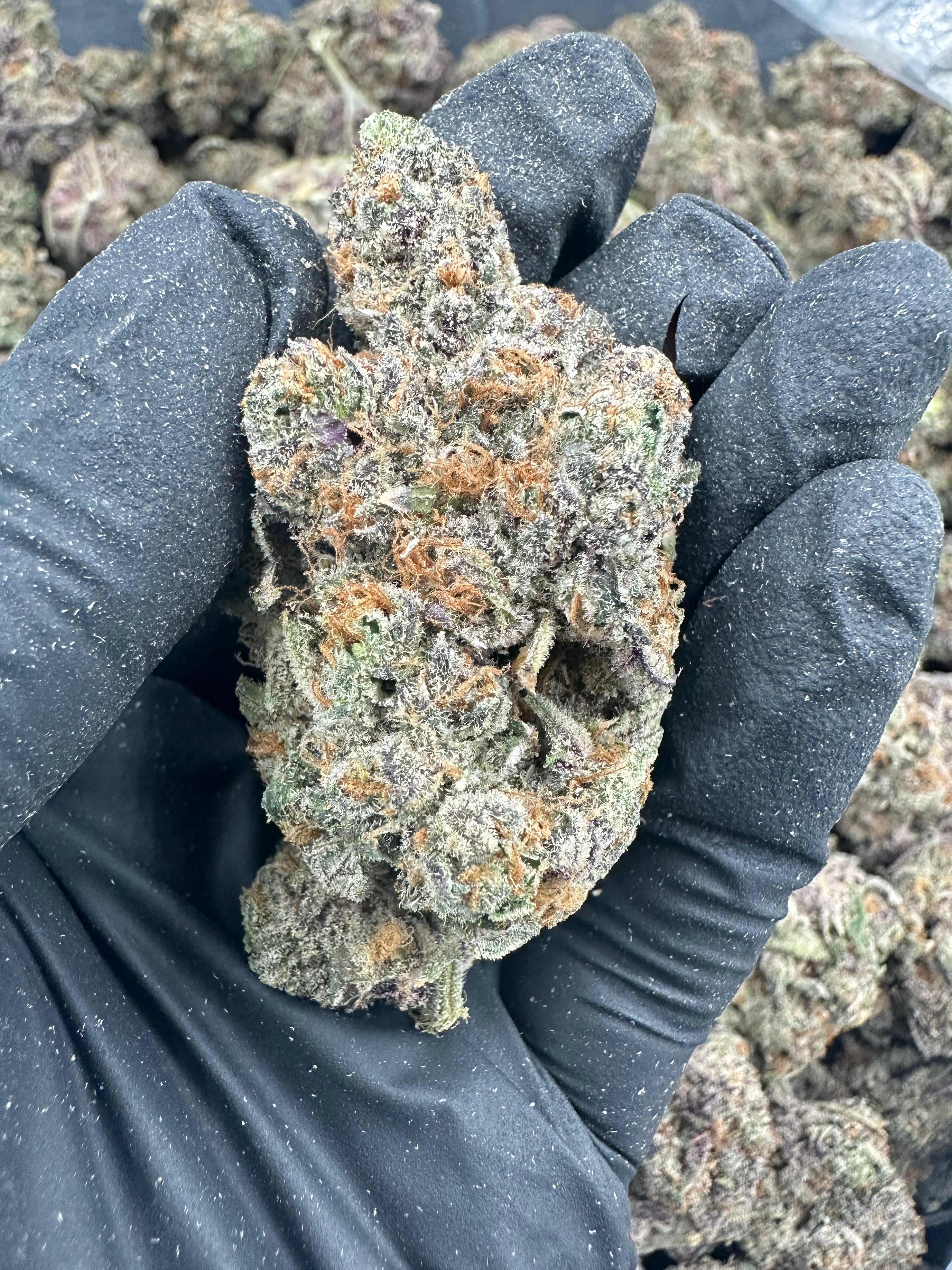 Watermelon Zkittlez THCA Flower (Exotic) - 图片 5