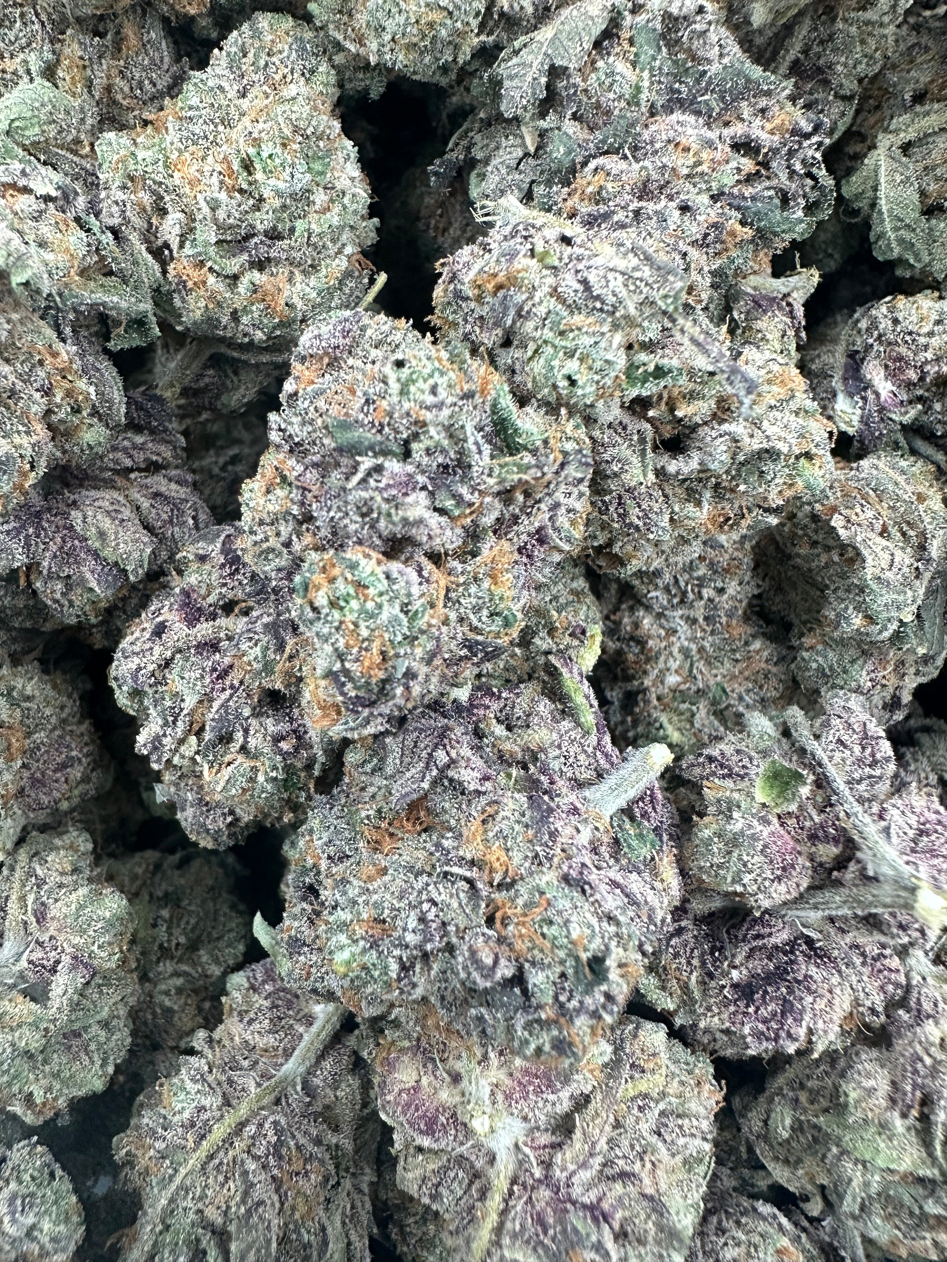 Watermelon Zkittlez THCA Flower (Exotic) - 图片 6