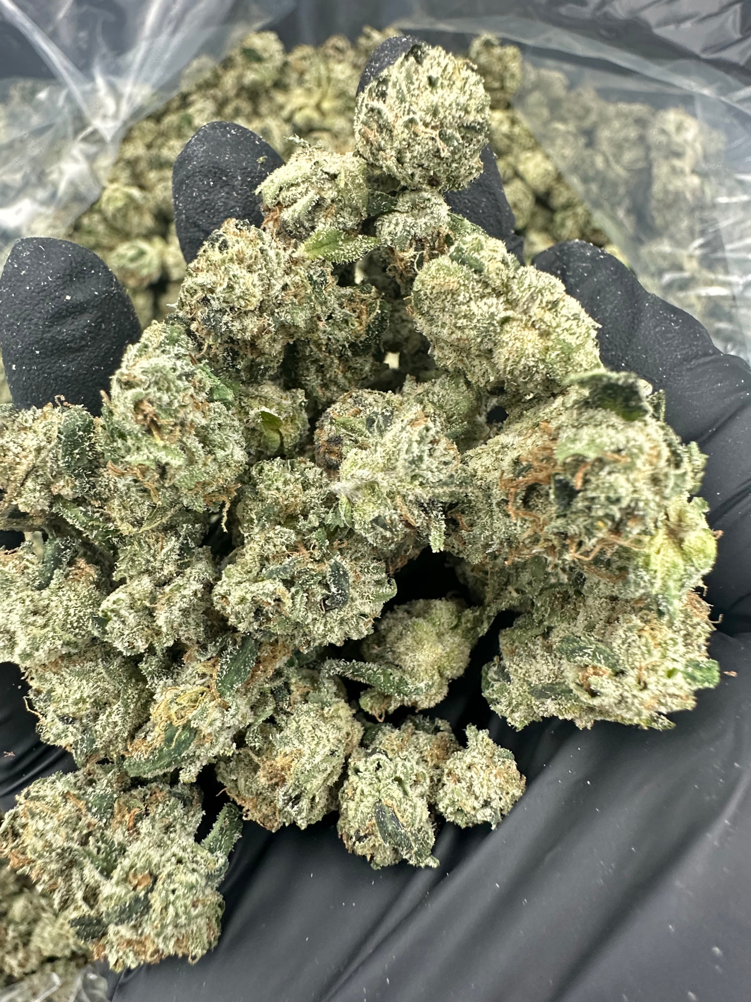 Larry OG Smalls THCA Flower (Exotic) - 图片 2