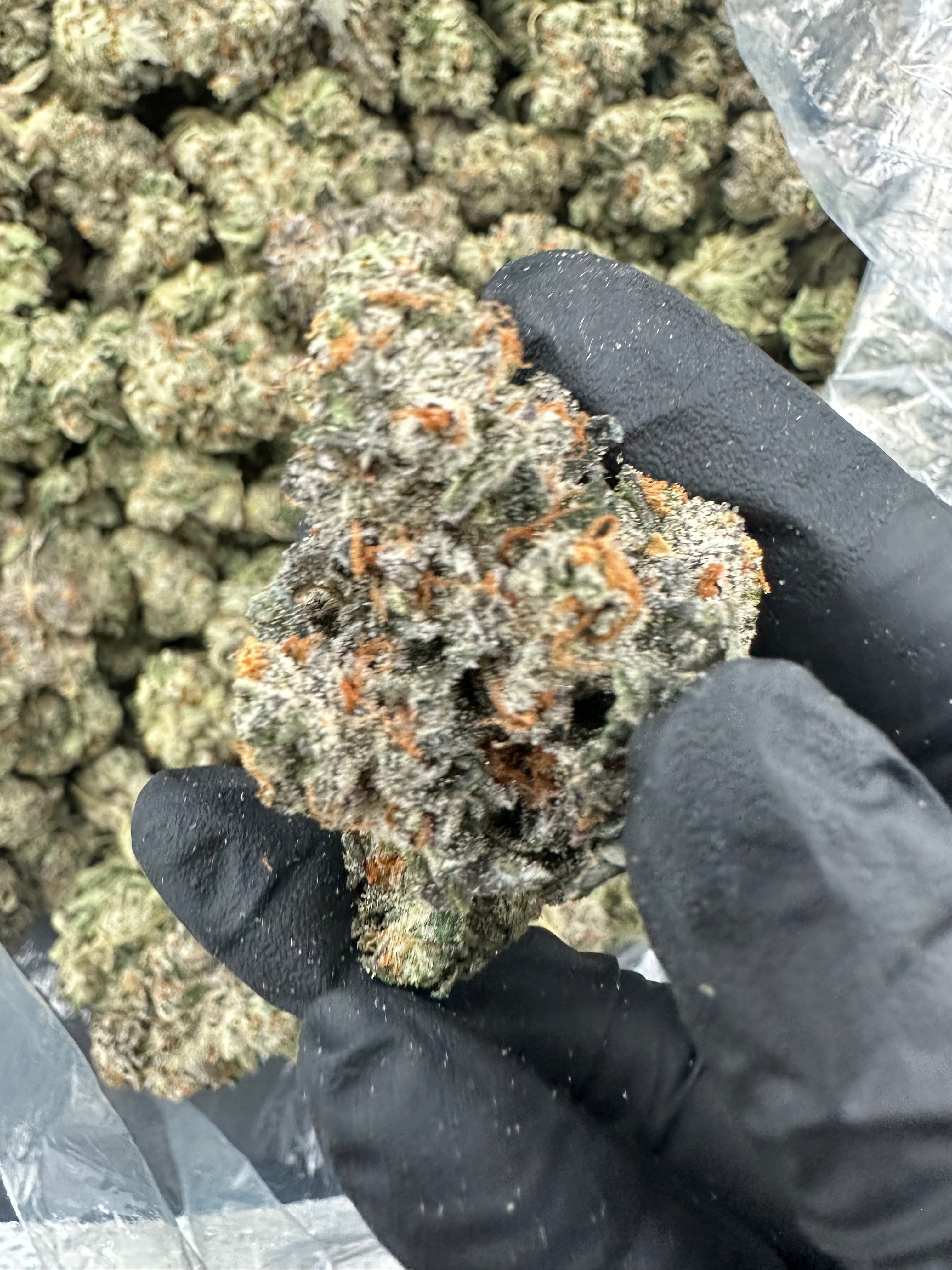 Bruce Banner THCA Flower (Premium) - 图片 5