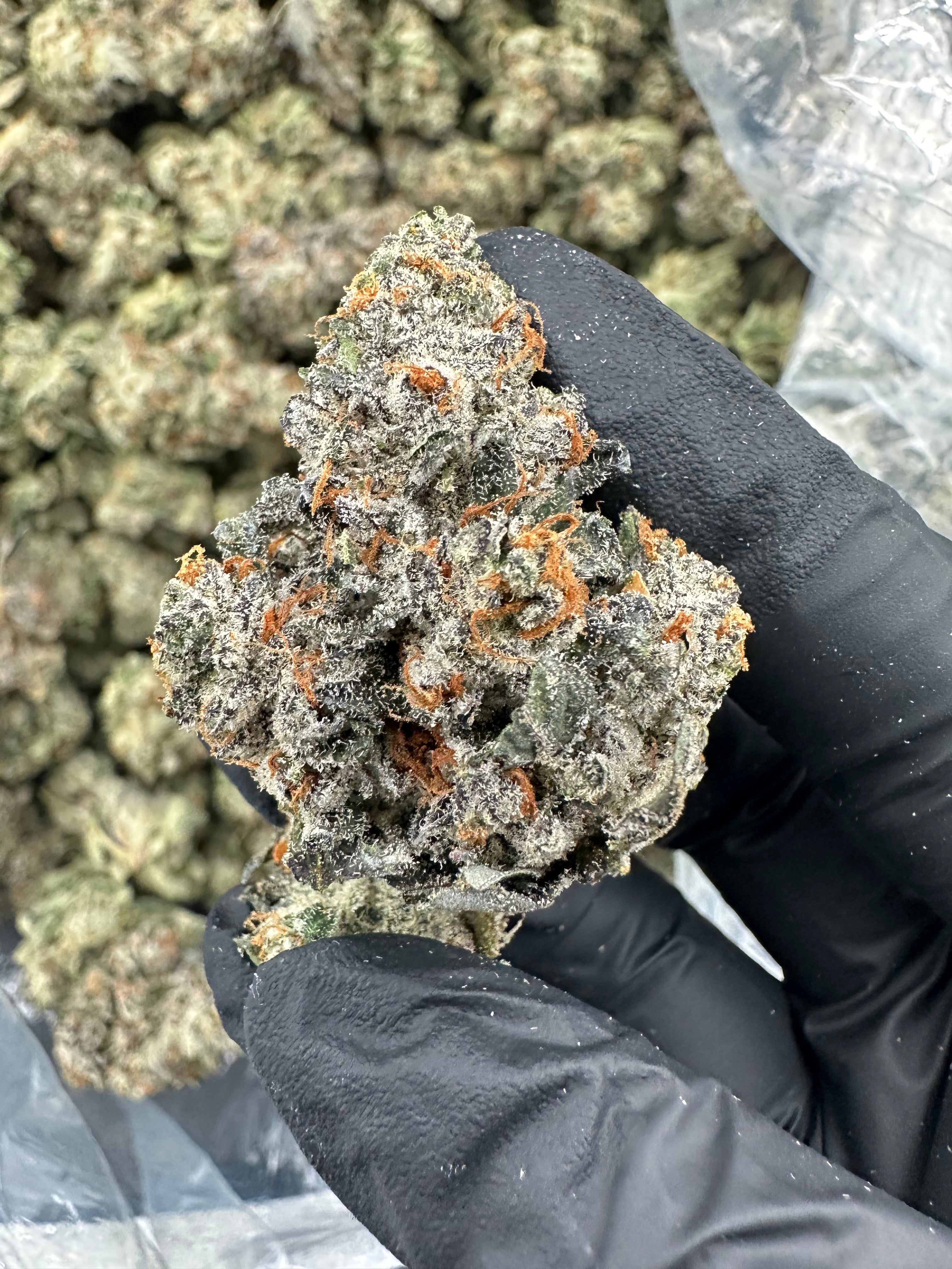 Bruce Banner THCA Flower (Premium) - 图片 4