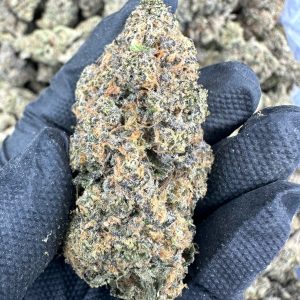 Lemon Cherry Gelato  THCA Flower (Exotic)